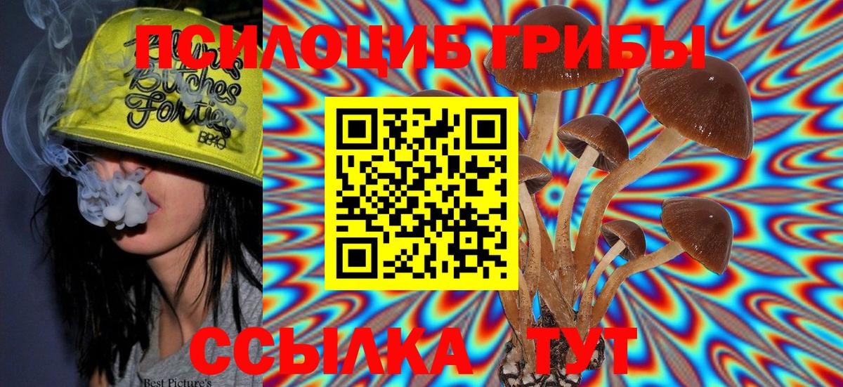 Псилоцибиновые грибы Magic Shrooms Заринск